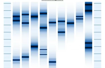 DNA test: Genoportrét - single: Obraz z DNA