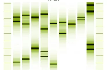 DNA test: Genoportrét - single: Obraz z DNA
