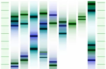 G-miniprint DUO – malý obrázek z DNA