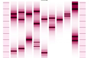 G-miniprint SINGLE - malý obrázek z DNA