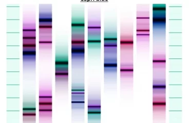 G-miniprint TRIO - malý obrázek z DNA
