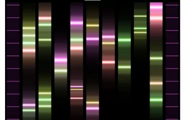 G-miniprint TRIO - malý obrázek z DNA